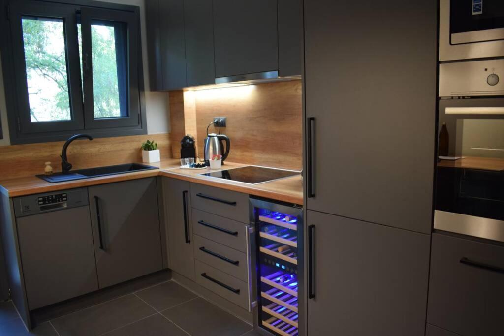 Ockto Luxurious Business Travel Apartment Athén Kültér fotó